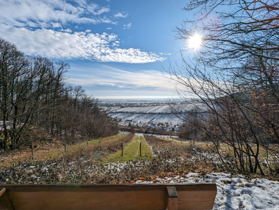 Rund um die Madenburg,
21. Januar 2024